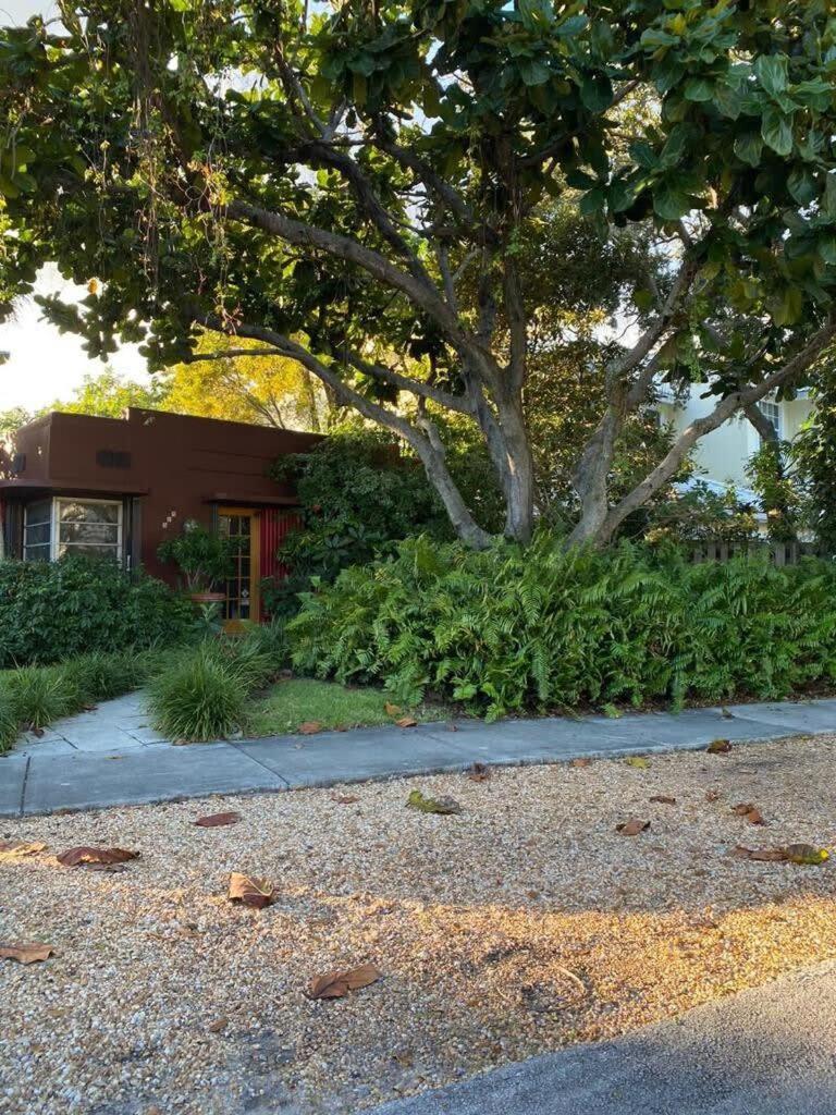 Delight And Cozy Apt Close To Las Olas & The Beach Fort Lauderdale Extérieur photo