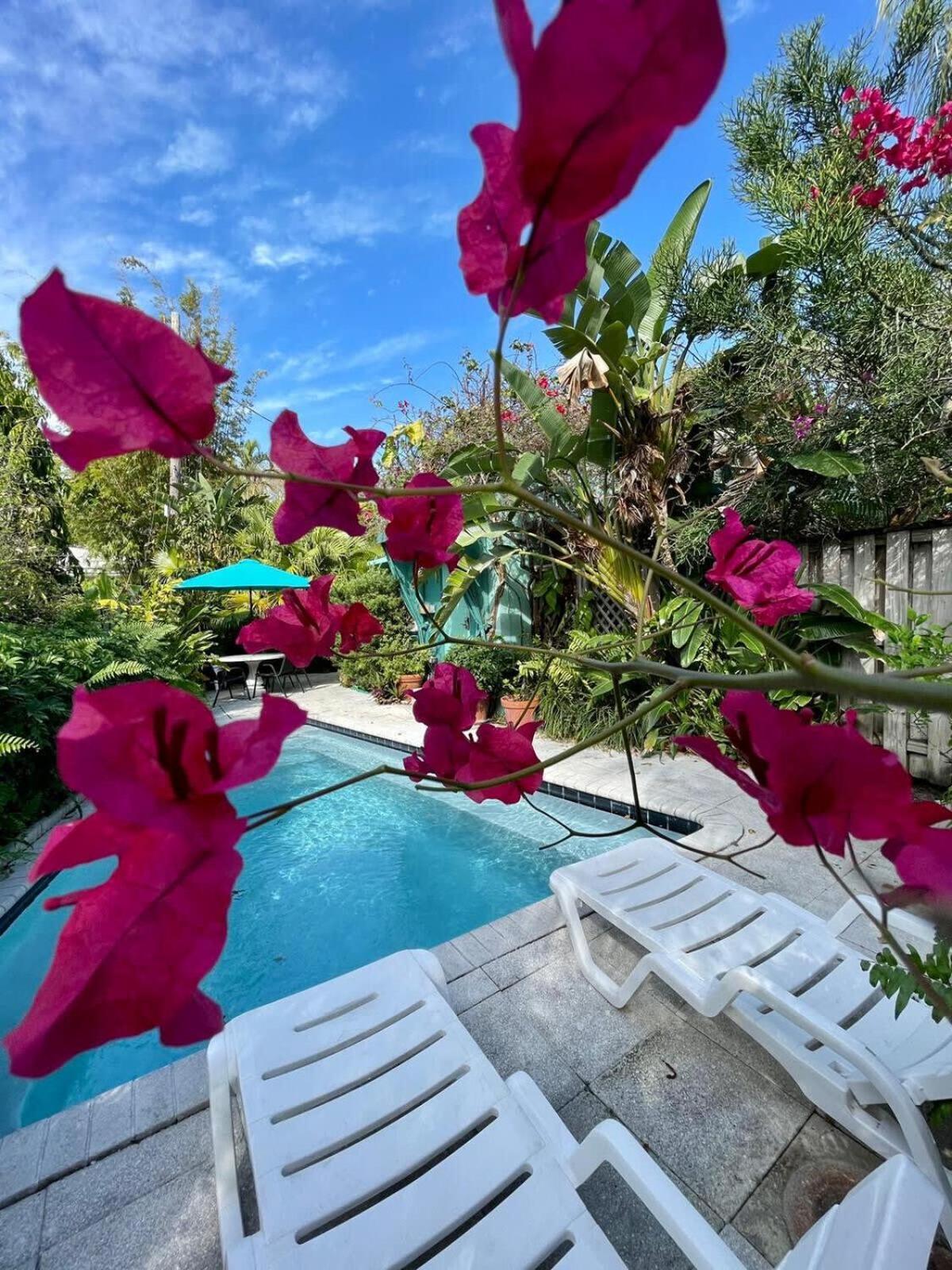 Delight And Cozy Apt Close To Las Olas & The Beach Fort Lauderdale Extérieur photo