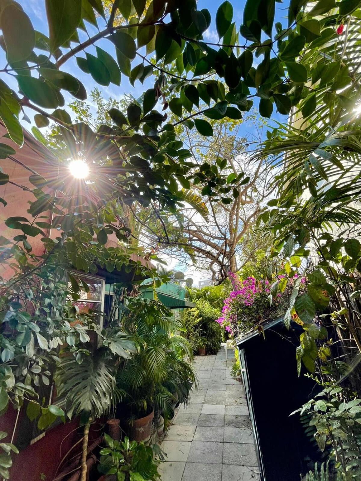 Delight And Cozy Apt Close To Las Olas & The Beach Fort Lauderdale Extérieur photo